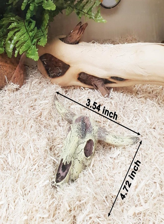 Anranmm Aquarium Decorations Cattle Skull Fish Tank Decor Bearded Dragon Tank Decor Ornaments Reptiles Hideouts Decorations Small Animal Cage Accessories Habitat Décor for Geckos Lizards Snakes - Image 2
